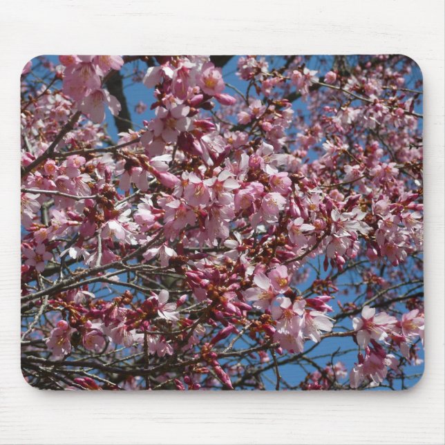 Tapis De Souris Cherry Blossoms et Blue Sky Spring Floral (Devant)