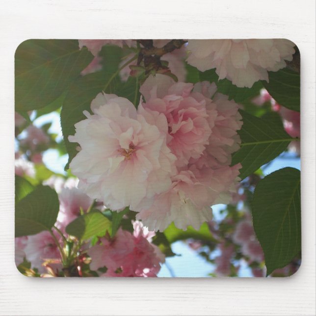 Tapis De Souris Cherry Tree I Spring Floral (Devant)