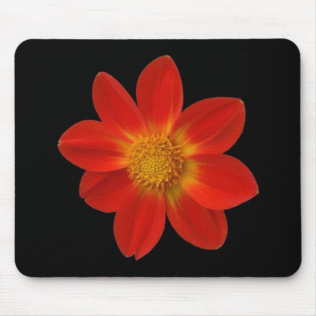 Tapis De Souris Cherub alpin (Dahlia) (Devant)