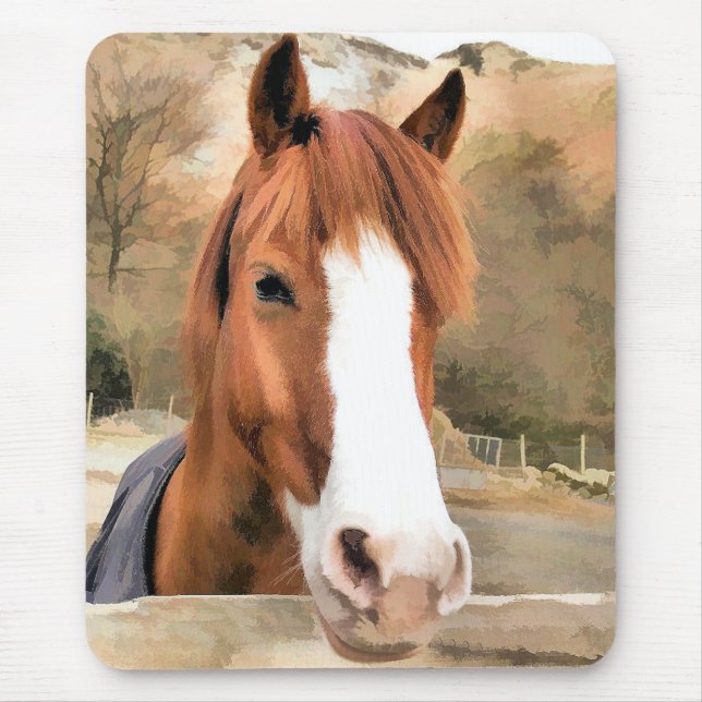 TAPIS DE SOURIS CHESNUT HORSE (Devant)