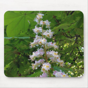 Tapis De Souris chestnut flower