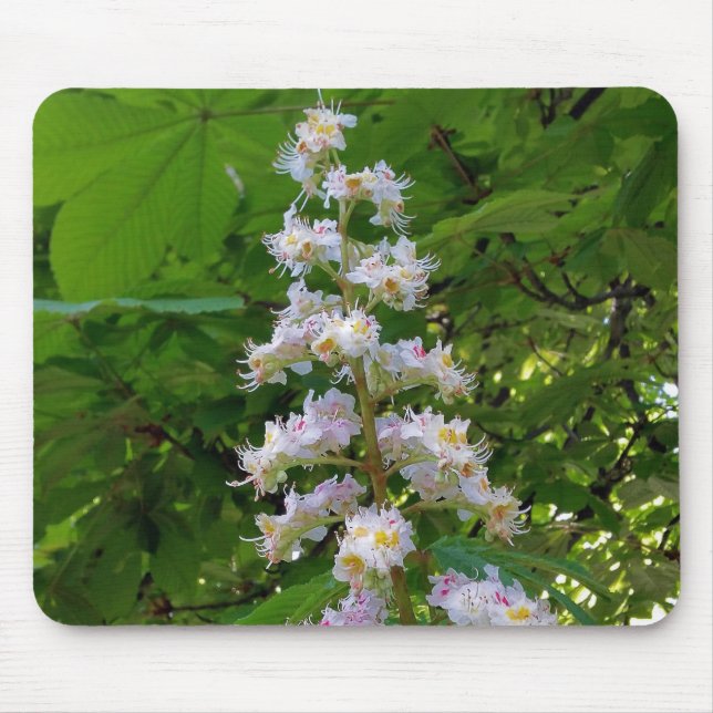 Tapis De Souris chestnut flower (Devant)