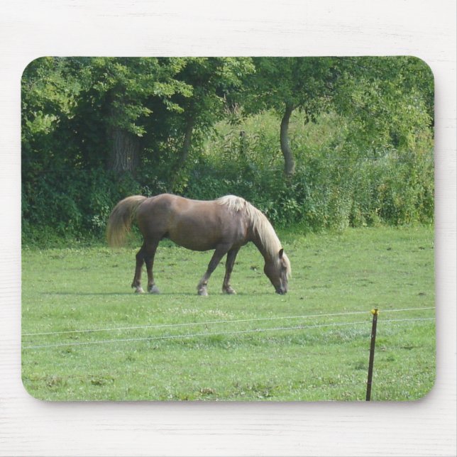 Tapis De Souris Cheval (Devant)