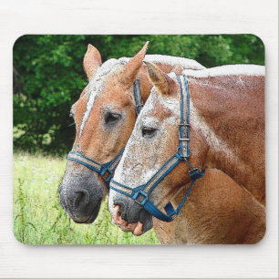 Tapis De Souris Cheval