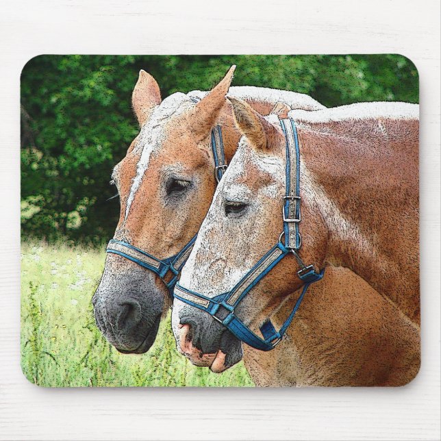 Tapis De Souris Cheval (Devant)