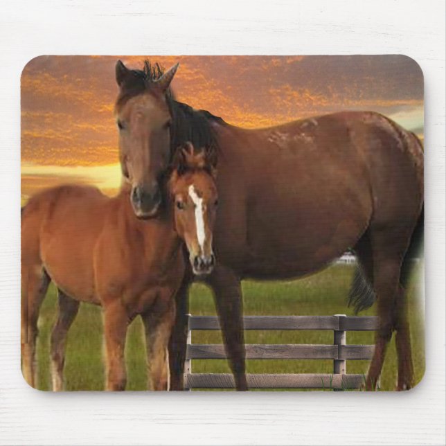 Tapis De Souris Cheval (Devant)