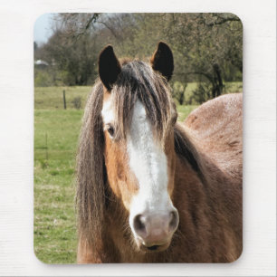 TAPIS DE SOURIS CHEVAL