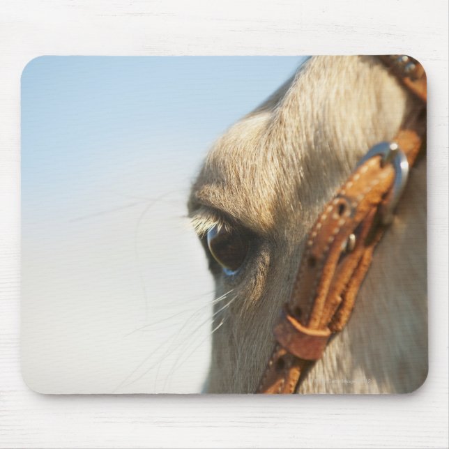 Tapis De Souris Cheval (Devant)