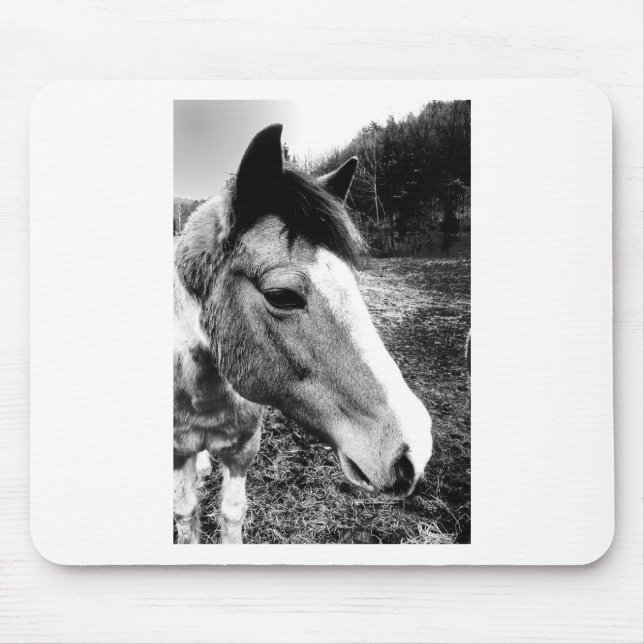 Tapis De Souris Cheval (Devant)