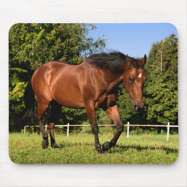 Tapis De Souris Cheval (Devant)