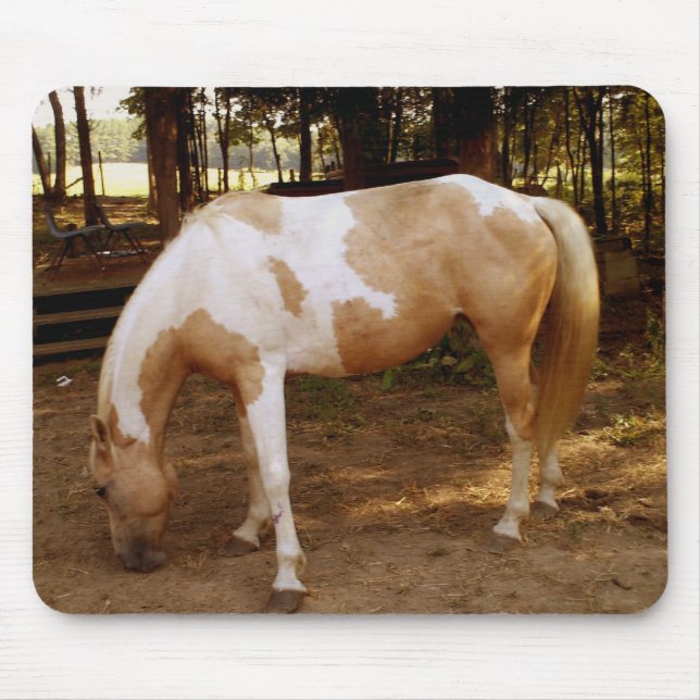Tapis De Souris Cheval 3, Plaque souris (Devant)