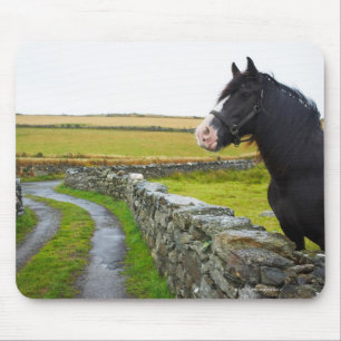 Tapis De Souris Cheval à la ferme en Angleterre rurale