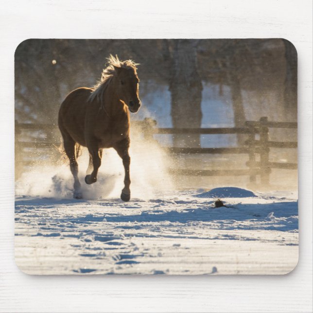 Tapis De Souris Cheval à travers la neige (Devant)