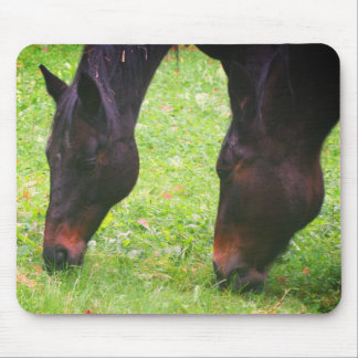 Tapis De Souris Cheval Amis Pâtage