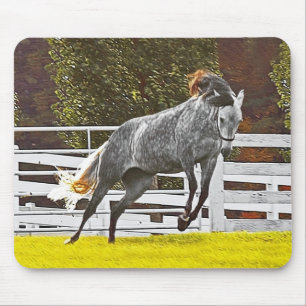 Tapis De Souris Cheval au galop