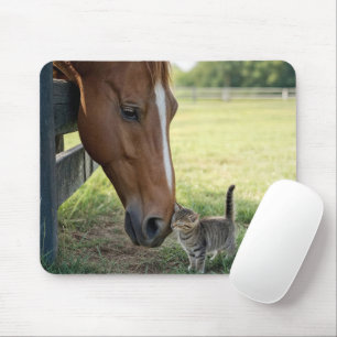 Tapis De Souris Cheval avec chaton dans une prairie de ferme