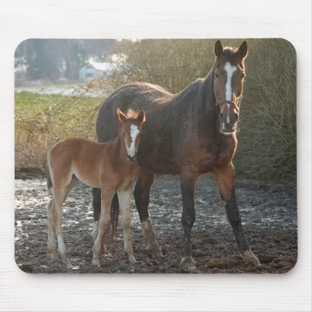 Tapis De Souris Cheval avec le mousepad de poulain (Devant)