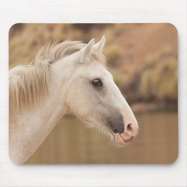 Tapis De Souris Cheval blanc (Devant)