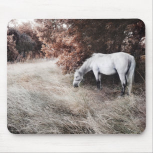 Tapis De Souris Cheval blanc
