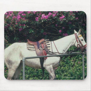 Tapis De Souris Cheval blanc dans un jardin