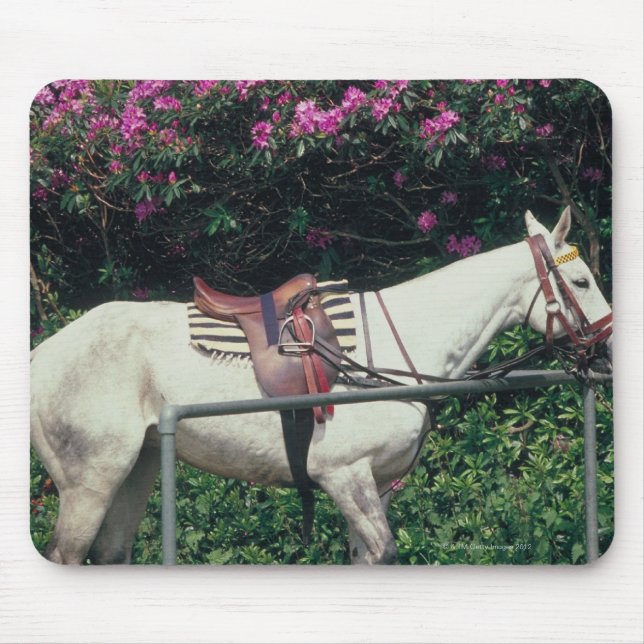 Tapis De Souris Cheval blanc dans un jardin (Devant)