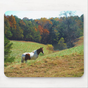 Tapis De Souris Cheval blanc et Brown, étang d'automne