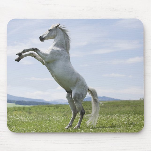 Tapis De Souris cheval blanc saut sur prairie (Devant)