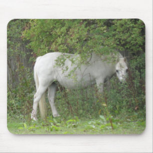 Tapis De Souris Cheval blanc timide Mousepad