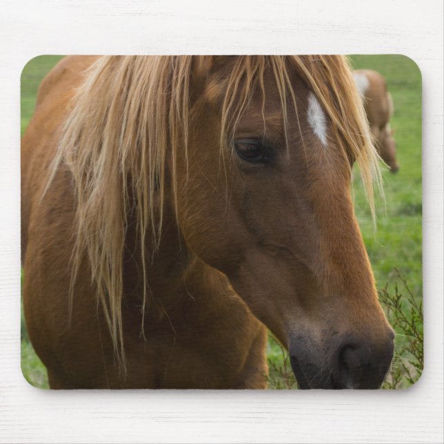 Tapis De Souris Cheval Bonjour (Devant)