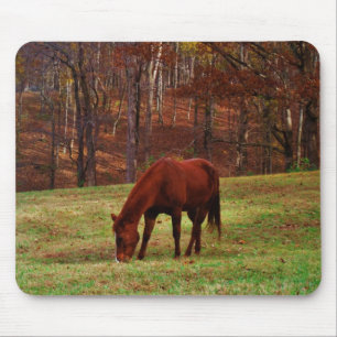Tapis De Souris Cheval Brown avec nez blanc au bord des bois