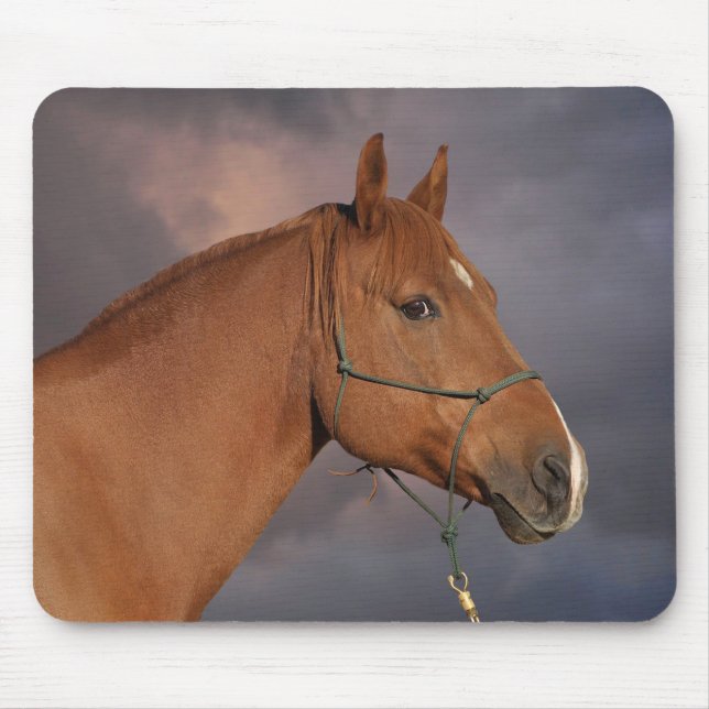 Tapis De Souris Cheval Brown de châtaignes de l'Ouest (Devant)