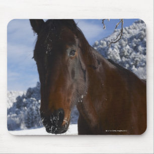 Tapis De Souris Cheval Brown en hiver