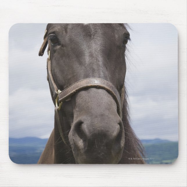 Tapis De Souris Cheval Brown foncé (Devant)