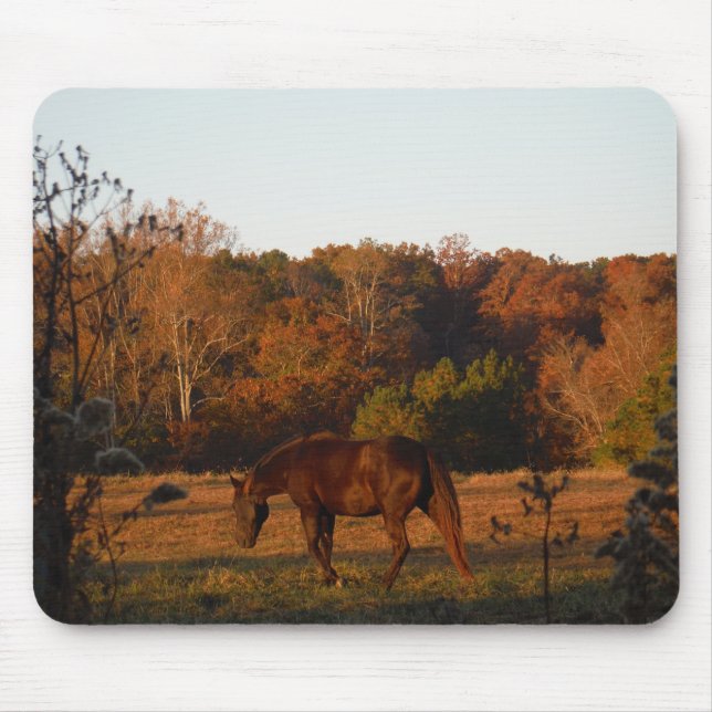 Tapis De Souris Cheval Brown rouge, bois d'automne. (Devant)
