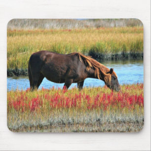 Tapis De Souris Cheval Brun Pâturant Près d'un Pré Aquatique