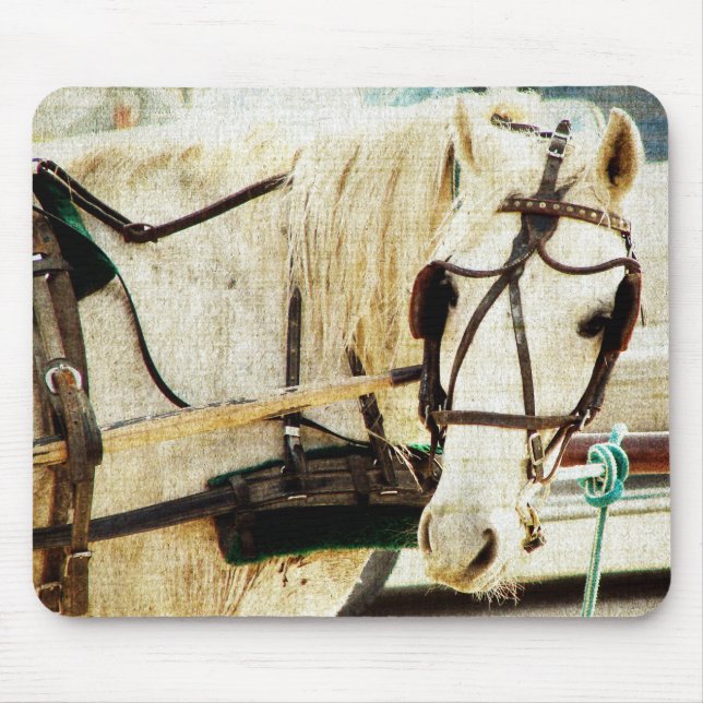 Tapis De Souris Cheval Buggy Amish Grey (Devant)