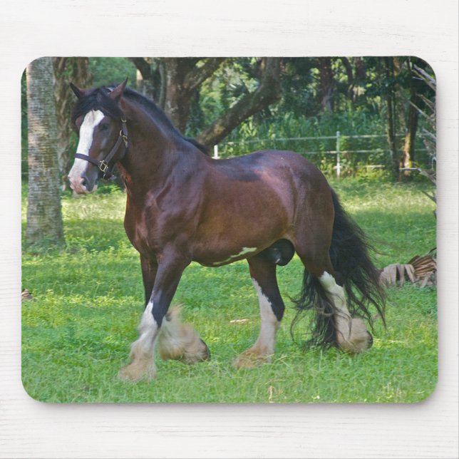 Tapis De Souris Cheval Clydesdale (Devant)