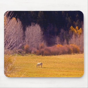 Tapis De Souris Cheval dans l'automne I