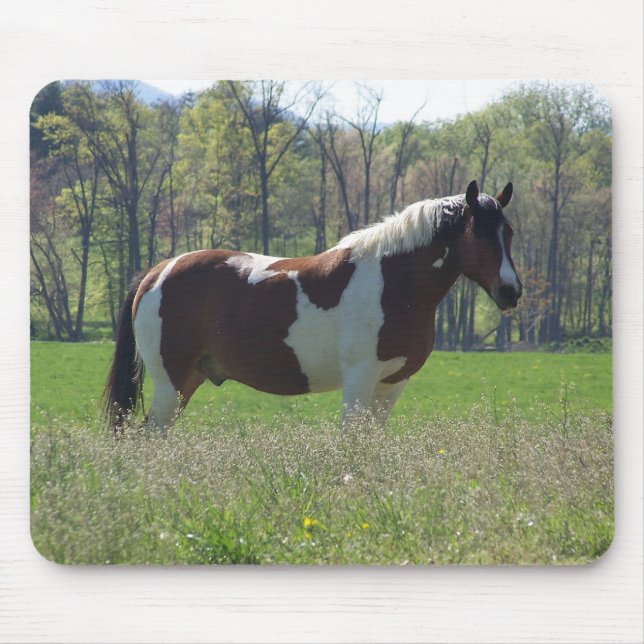 Tapis De Souris Cheval dans les fleurs sauvages (Devant)