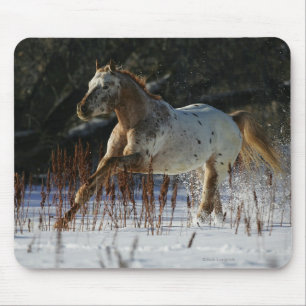 Tapis De Souris Cheval d'Appaloosa fonctionnant dans la neige
