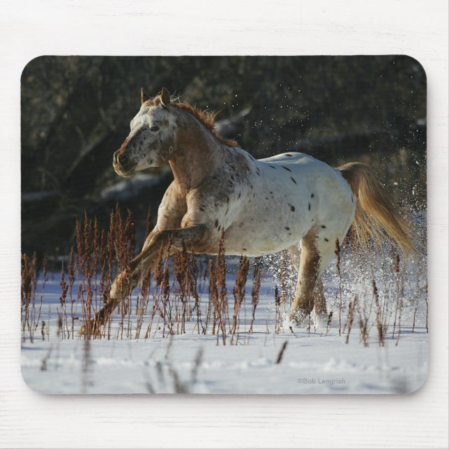 Tapis De Souris Cheval d'Appaloosa fonctionnant dans la neige (Devant)