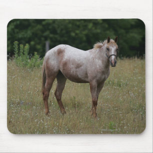 Tapis De Souris Cheval d'Appaloosa se tenant dans l'herbe