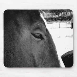 Tapis De Souris Cheval de B&W