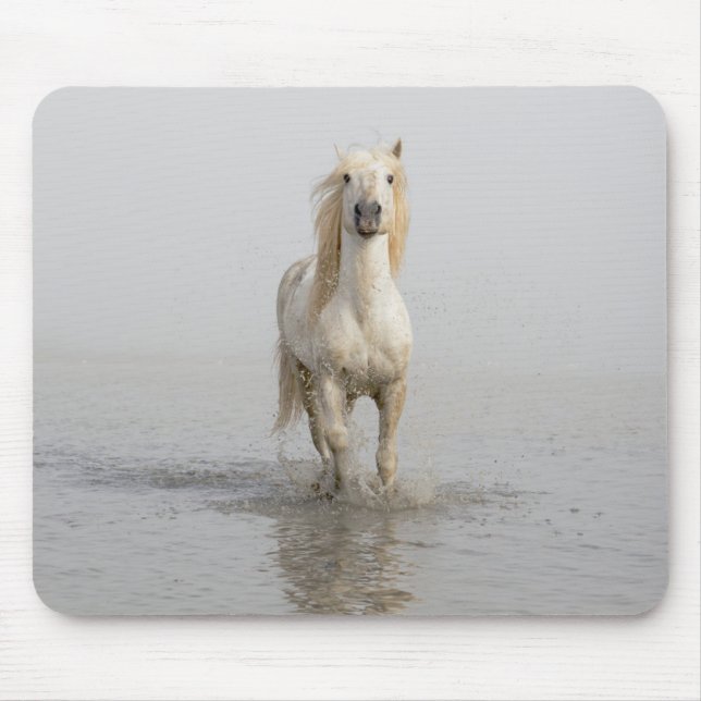Tapis De Souris Cheval de Camargue courant dans l'eau (Devant)