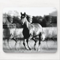 Cheval de course B&W