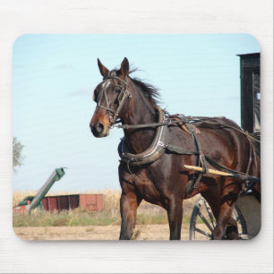 Tapis De Souris Cheval de l'Amish rural et buggy