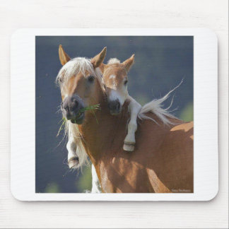 Tapis De Souris Cheval de mère et de bébé
