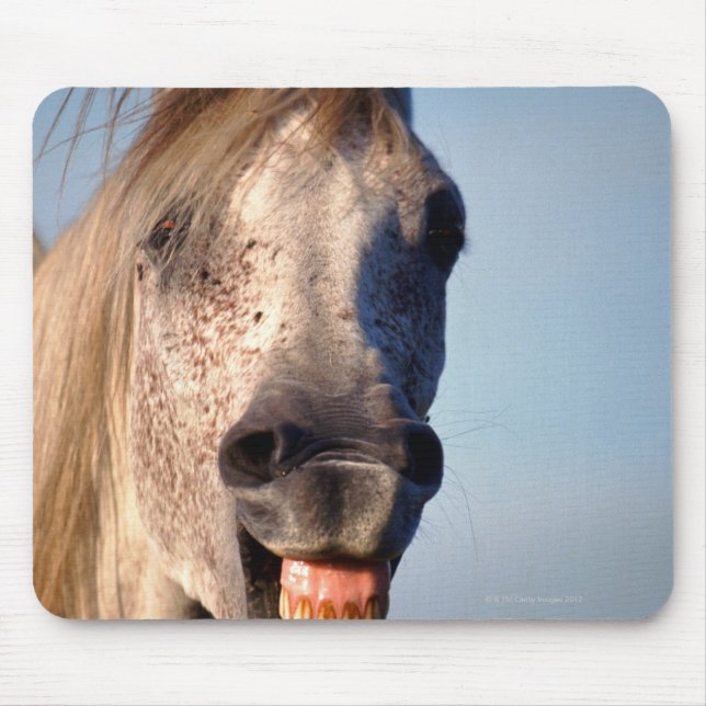 Tapis De Souris cheval de rire (Devant)