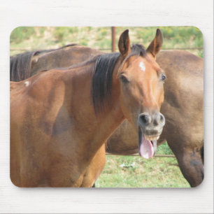 Tapis De Souris Cheval de rire