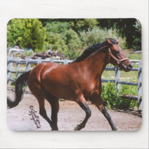 Tapis De Souris Cheval de Standardbred galopant Mousepad